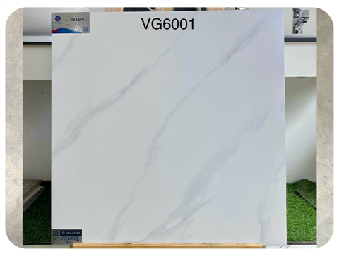 Gạch Viglacera Kt 60x60cm VG6001